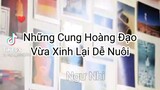 12 cung hoàng đạo phần 17