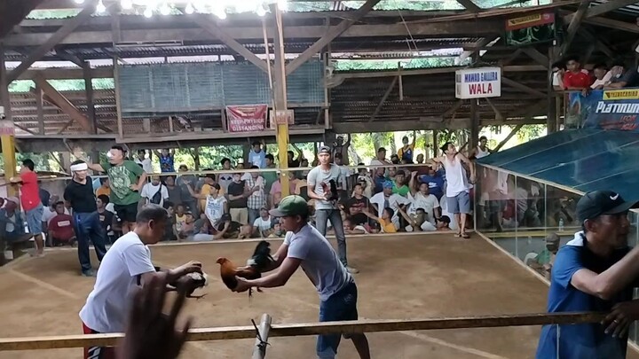 2nd fight win.. Black McRaeXmuff.
