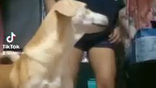 Dog Style Tiktok