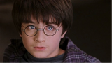 Harry Potter And The Sorcerer's Stone sample