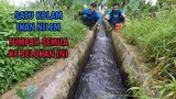 KOLAM IKAN NILEM JEBOL || SELOKAN PENUH BENIH NILEM MELIMPAH RUAH!!