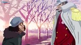 [One Piece 1065+]. Akainu sẽ sớm xuất trận, Mục tiêu của Chó Đỏ là Luffy hay Râu Đen? p2