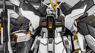 PG Strike Freedom Gundam Group Chat