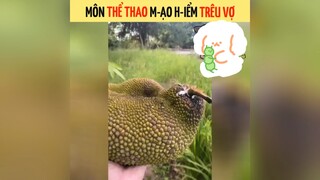 Môn thể thao mạo hiểm trêu vợ