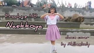 Produce 48 - " Naekkoya " (Korean & Japanese ver.) dance cover by Mellmelody♡