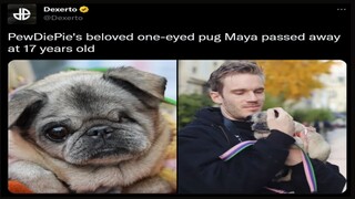 Twitter Mocks PewDiePie After His Dog Passes Away