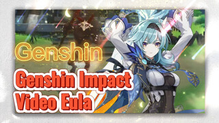 Genshin Impact Video Eula