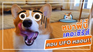 หมาพี่บี้เดอะซีรีส์ ตอน UFO หลอน l สัตว์เอ๋ย