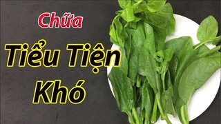 cách chữa tiểu tiện khó tại nhà bằng rau mồng tơi an toàn và hiệu rất cao