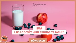 Trà xanh, sữa bò, sữa chua có thật sự tốt cho sức khoẻ? | Spiderum Giải Trí | Pangolin | Động sách