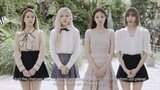 BLACKPINK | CALLING ALL BLINKS: CLIMATE ACTION IN YOUR AREA! | moonfairie