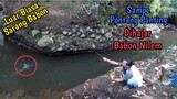 Mancing di Sarang Ikan Nilem Full Babon || Gak Ada yang Kecil Broo!!