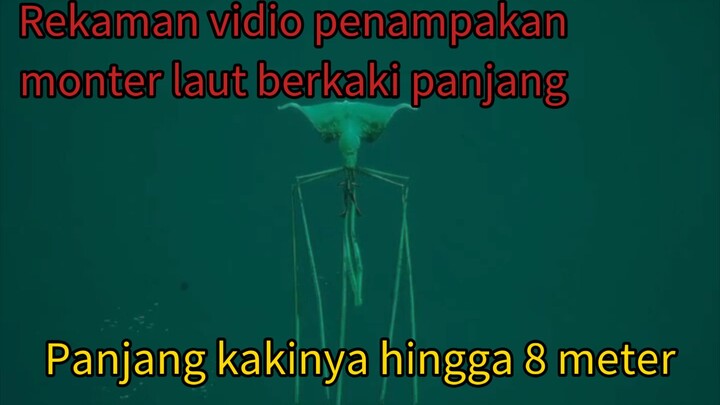 ngeriiiiiii!!,panjang kakinya aja 8 meter apalagi tubuhnya😬😫😵😵