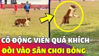 Cả đội đang 'ĐÁ BÓNG' thì bất ngờ bị hoãn do cổ động viên 'QUÁ KHÍCH' 🤣 Gâu Đần