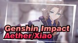 Genshin Impact 
Aether/Xiao
