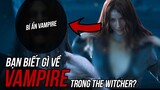 Loài Vampire trong The Witcher có đáng sợ như bạn nghĩ? -  Hồ sơ sinh học game - Tập 4