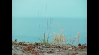 Như Hoa Trên Cát EP 12 [Sub Việt]