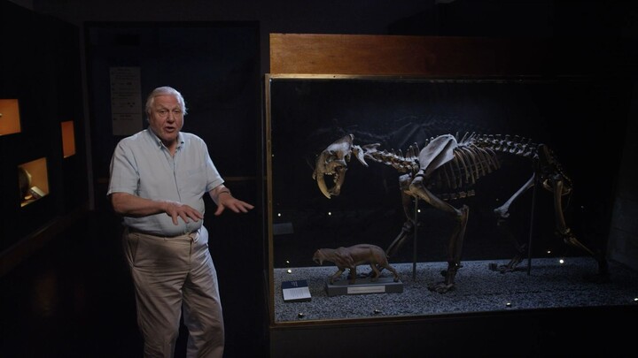 David.Attenboroughs.Natural.History.Museum.Alive.2014.1080p.BluRay