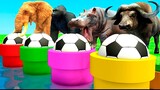 Soccer ball in pipe Buffalo, Gorilla, Zombie T-Rex, Tiger, Hippopotamus, Elephant