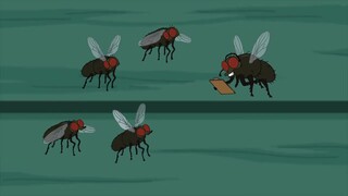 Family Guy - Like flies on dog poop