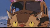 Totoro Bus: Đưa bạn đến bất cứ đâu bạn muốn! (Hayao Miyazaki)