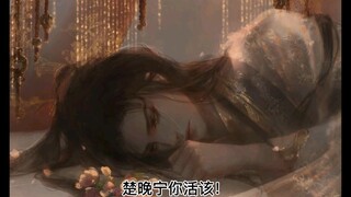 【二哈和他的白猫师尊】前世高虐回忆