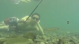 Funny fishing videos collection