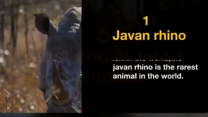 watch documentary film "TTop 5 Most Endangered Animals" documentary for free:link in description.