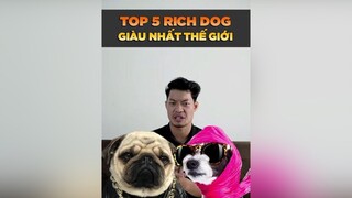 Top 5 RichDog giàu nhất thế giới petnhatrang petonesaigon tuitienpet dcgr