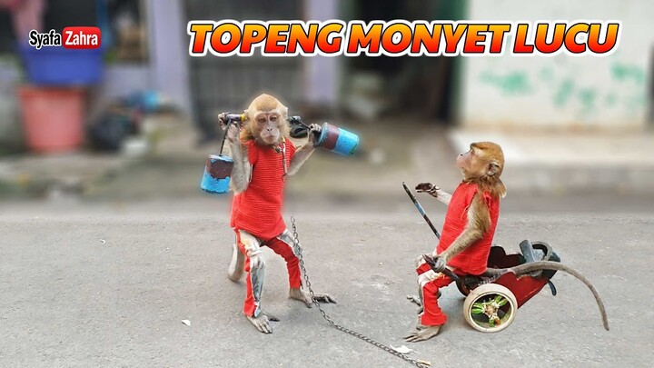 TOPENG MONYET LUCU, Doger Monyet | Funny Monkey