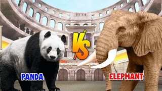 Panda vs Elephant | SPORE