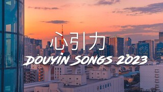 王俊凱&蔡依林 - 心引力 | 高音質動態歌詞Lyrics