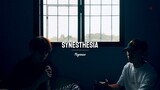 SYNESTHESIA - Dave Carlos & Fern (Cover)