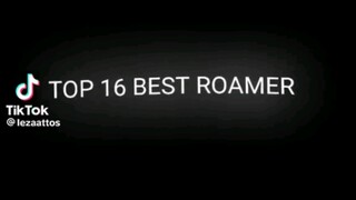 TOP 16 BEST ROAMER MLBB.