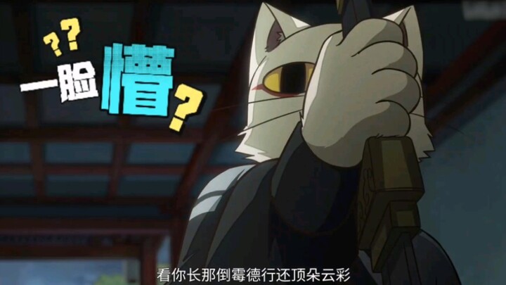 猫爷：确认过眼神，是本王惹不起的人