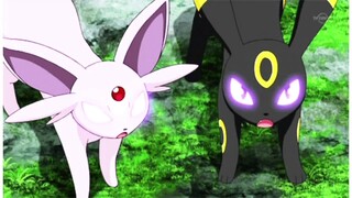 "Don't let me down" Espeon and Umbreon AMV **Requested**  **Happy Valentines Day**