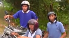 Bujang Sepah Silalitamplom 2009