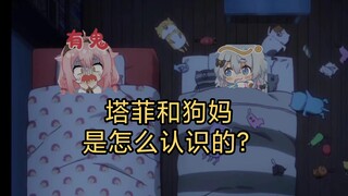 【v圈身世】“塔菲和狗妈”是怎么认识的？（第二期）