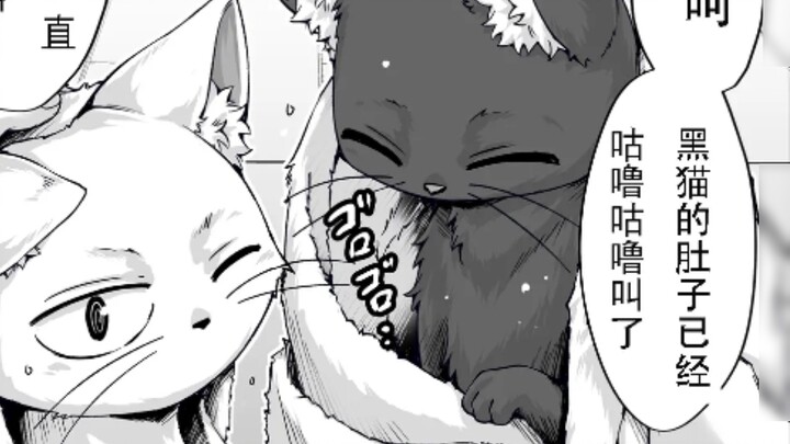 The cat I found is a hot girl.