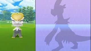 World first very rare alolan fighter  Jangmo-o is the new monster Dragon when evolve 3X.