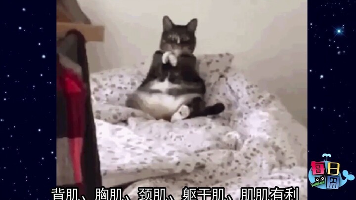 【每日一囧】胸大且喜欢趴着睡的女生,睡觉是不是这样的？ |猫猫村长