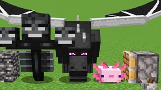 Axolotl + Ender Dragon + Wither = ???