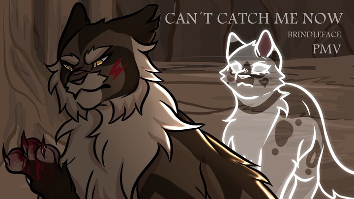 Can´t catch me now- Brindleface pmv Warrior Cats