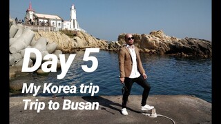 TRAIN TO BUSAN - My first time in Korea (Day 5) Busan day trip