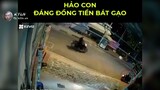 Hảo Con Trai Đáng Đồng Tiền Bát Gạo - KTLN