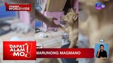 Asong marunong magmano, kinaaliwan ng maraming netizen | Dapat Alam Mo!