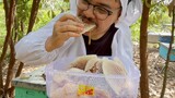 PANEN SARANG LEBAH MADU LANGSUNG DI MAKAN | EATING HONEYCOMB
