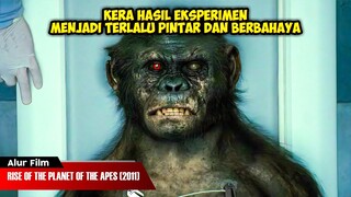 EKSPERIMEN KERA BER IQ 999 YG MEMBAWA BENCANA | ALUR CERITA FILM RISE OF THE PLANET OF THE APES