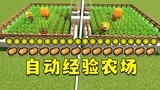 Minecraft: An automatic farm that can also produce experience, one machine for two purposes!