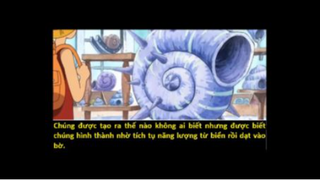 Những thứ không có thật khiến fan thích thú trong thế giới One Piece p1